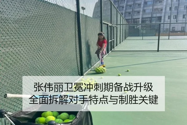 张伟丽卫冕冲刺期备战升级 全面拆解对手特点与制胜关键
